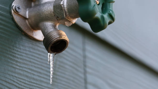 Best Local Plumber Services  in , TX